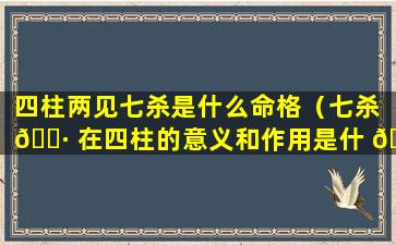 四柱两见七杀是什么命格（七杀 🕷 在四柱的意义和作用是什 🌼 么）